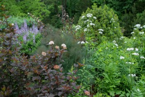 Cover photo for Pollinator Garden Tour Wednesday, May 11