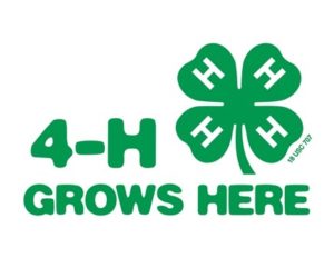 Cover photo for 4-H Teen Leader Internship