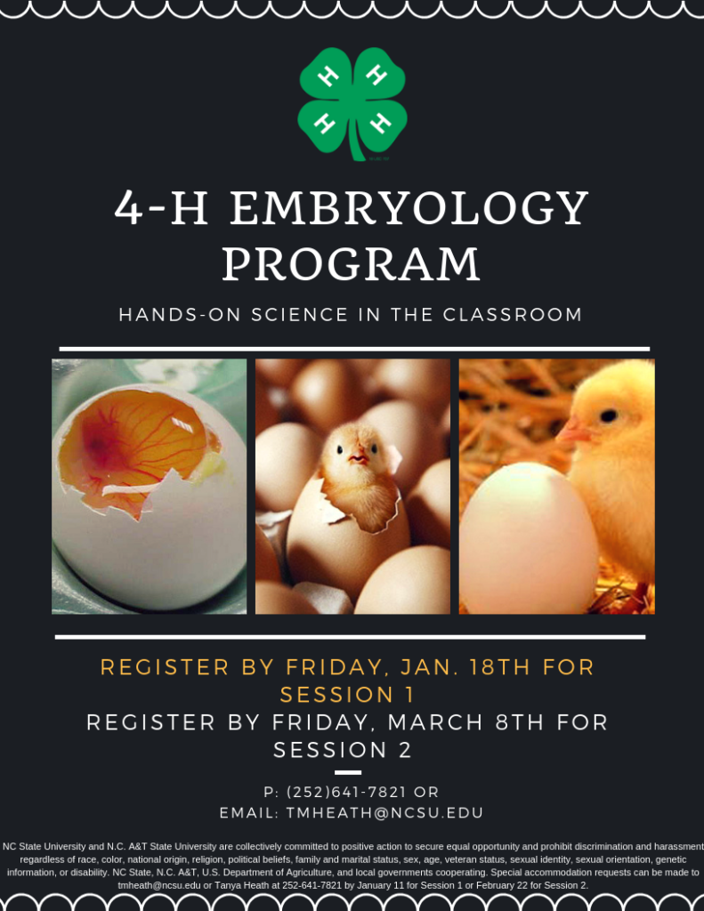 4-H Embryology flyer page 1 image