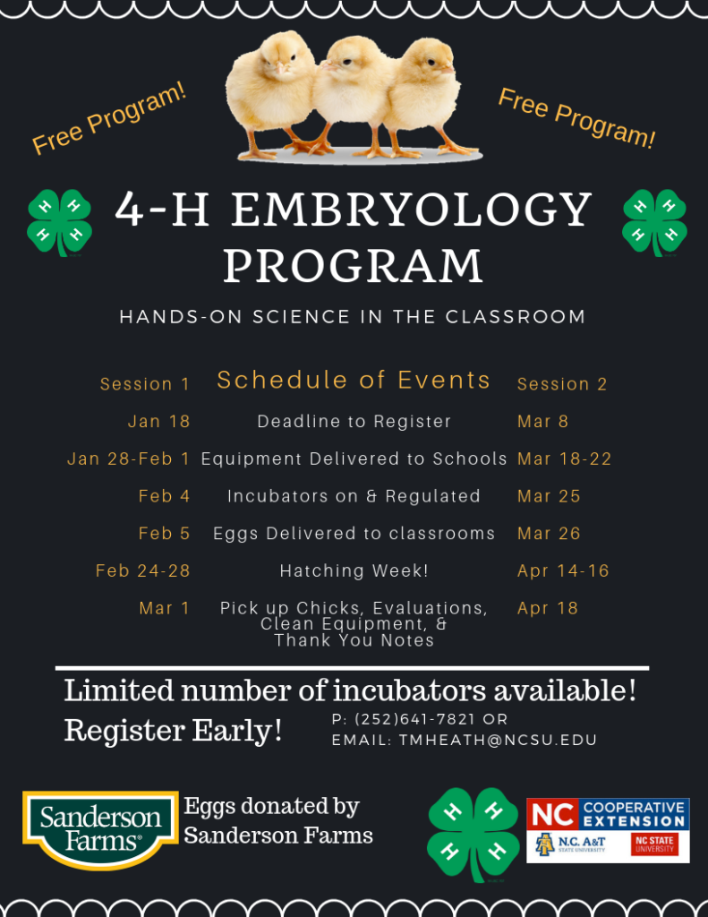 4-H Embryology flyer page 2 image