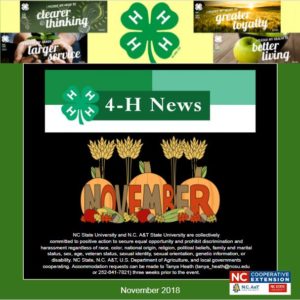 Cover photo for 4-H This Fall