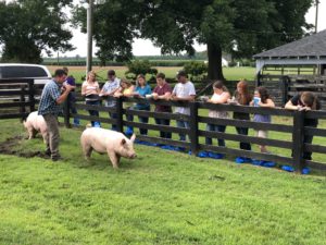 Cover photo for Advanced Livestock Judging Program