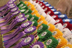 Cover photo for Foothills Livestock Judging Contest