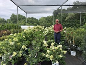 Mr. Brafford in greenhouse