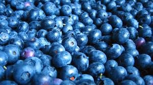 Cover photo for Cooking Up the Season - Blueberries