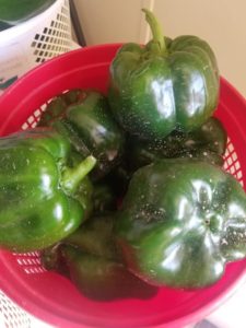 Cover photo for Cooking Up the Season; Bell Peppers