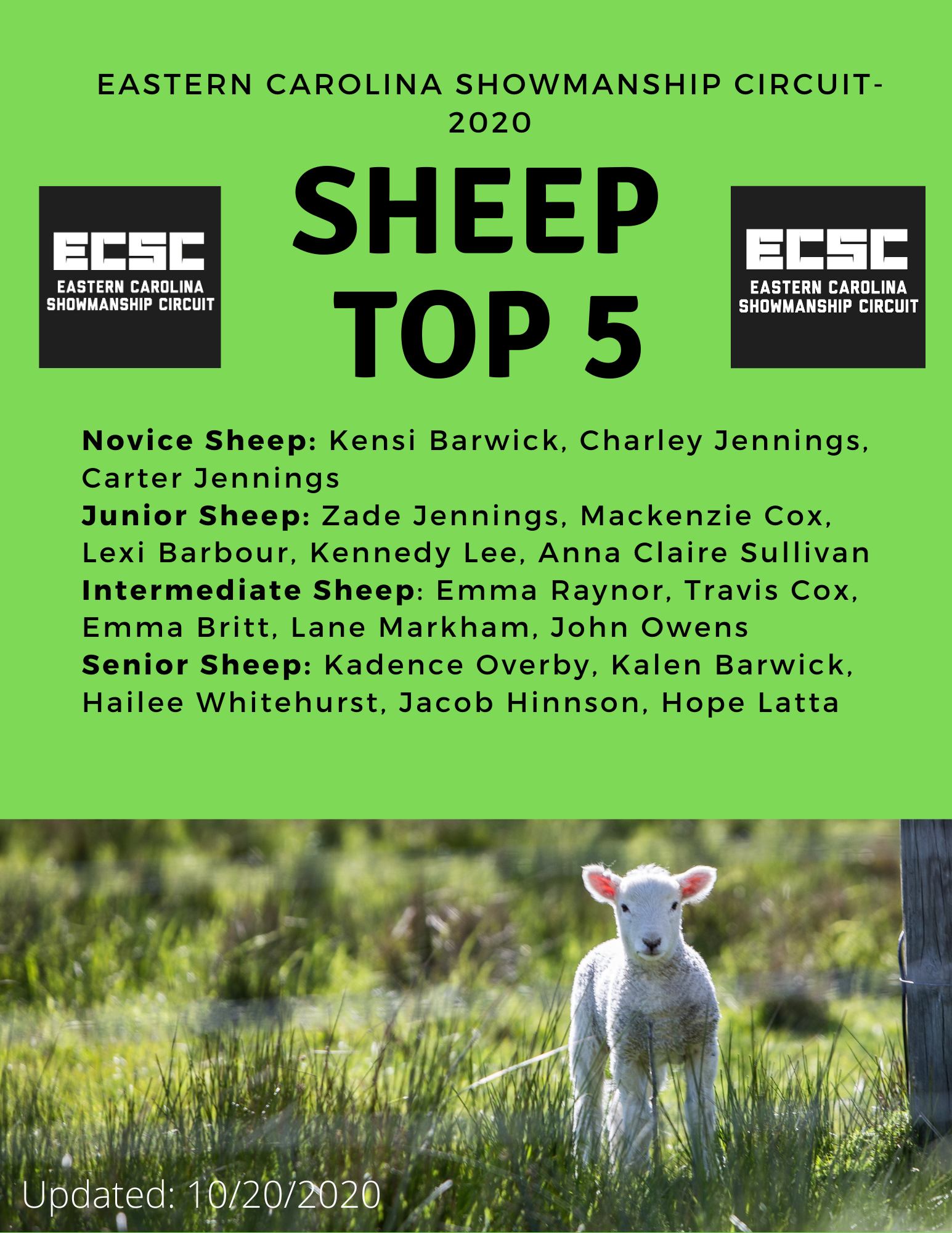 sheep top 5