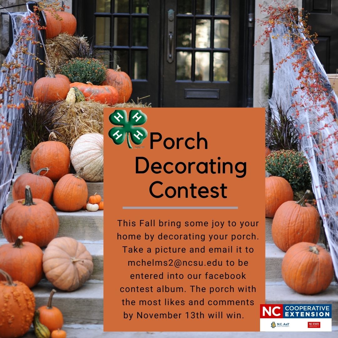 Porch Contest