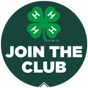 Cover photo for 4-H Little Readers SPIN Club!