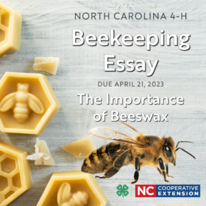 beekeeping essay image with title and due date