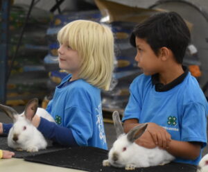 Cover photo for 2023 4-H Rabbit Project