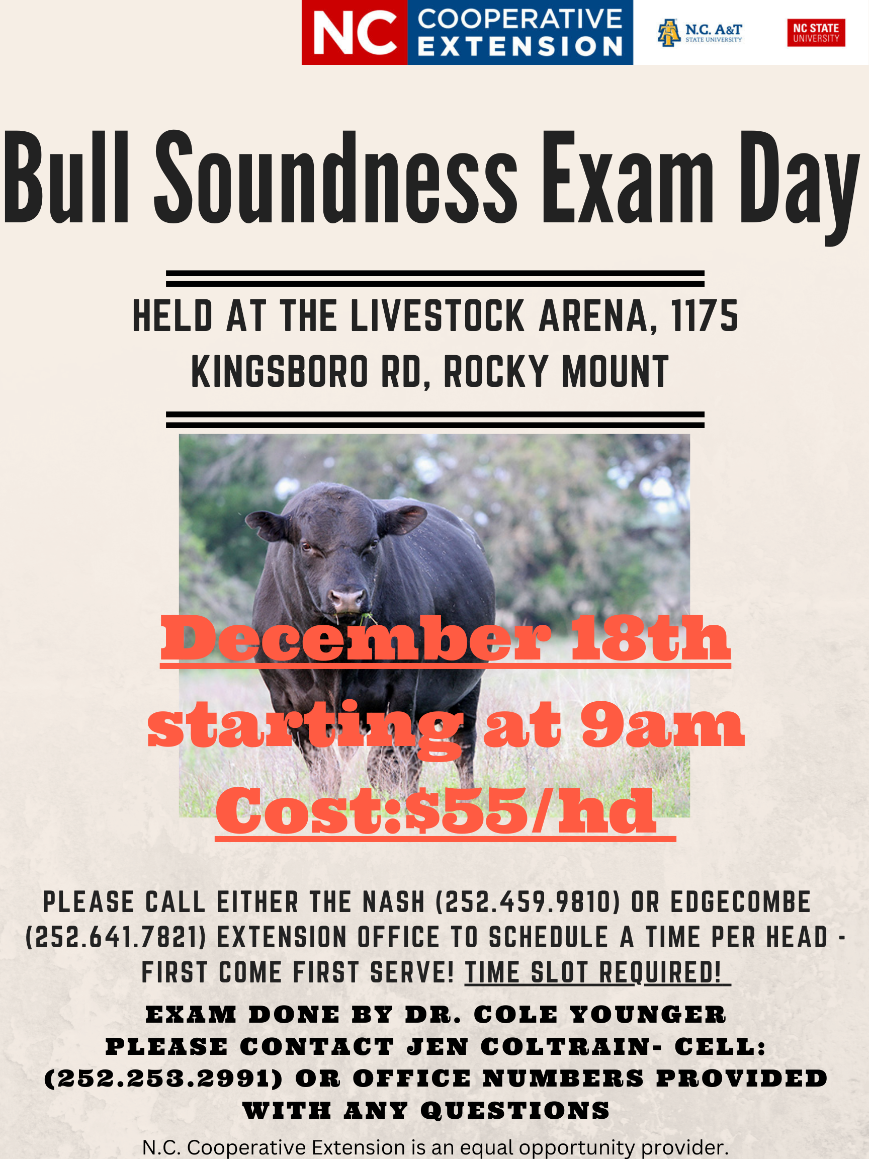 Bull Soundness Exam Day