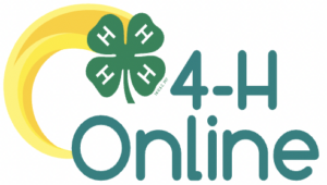 Cover photo for 4-H Online Is Now Open!