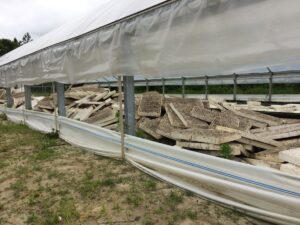 Cover photo for Proper Tobacco Greenhouse Tray Storage