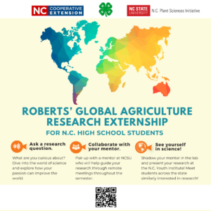 apply to youth global research externship